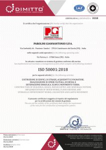 Certificato-n.-3110-PAROLINI-50001